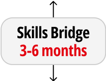 Skills Bridge